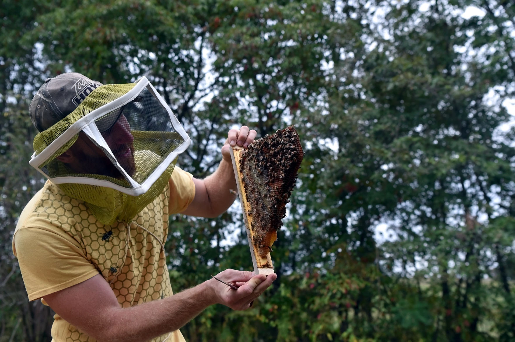 Natural Beekeeping